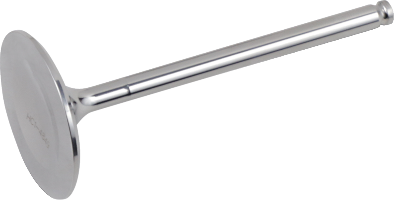 Product image for 09262255