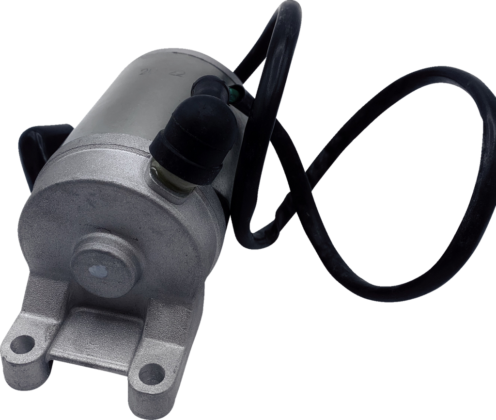 Product image for 21101289