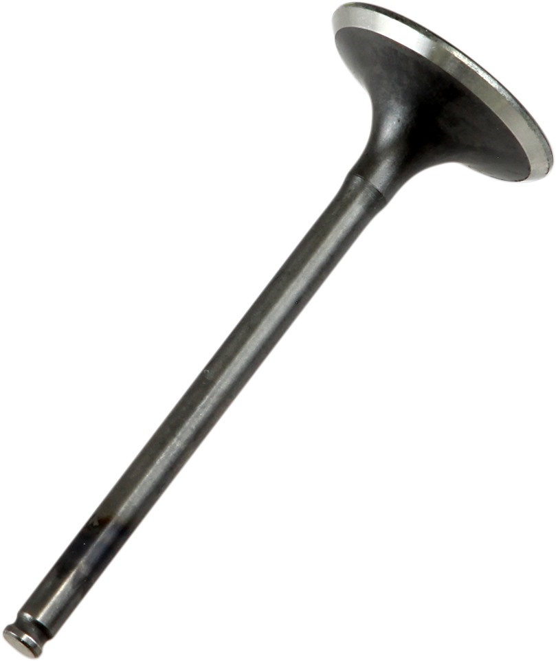 Product image for 09261421