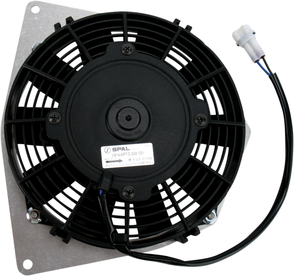 Product image for 19010317