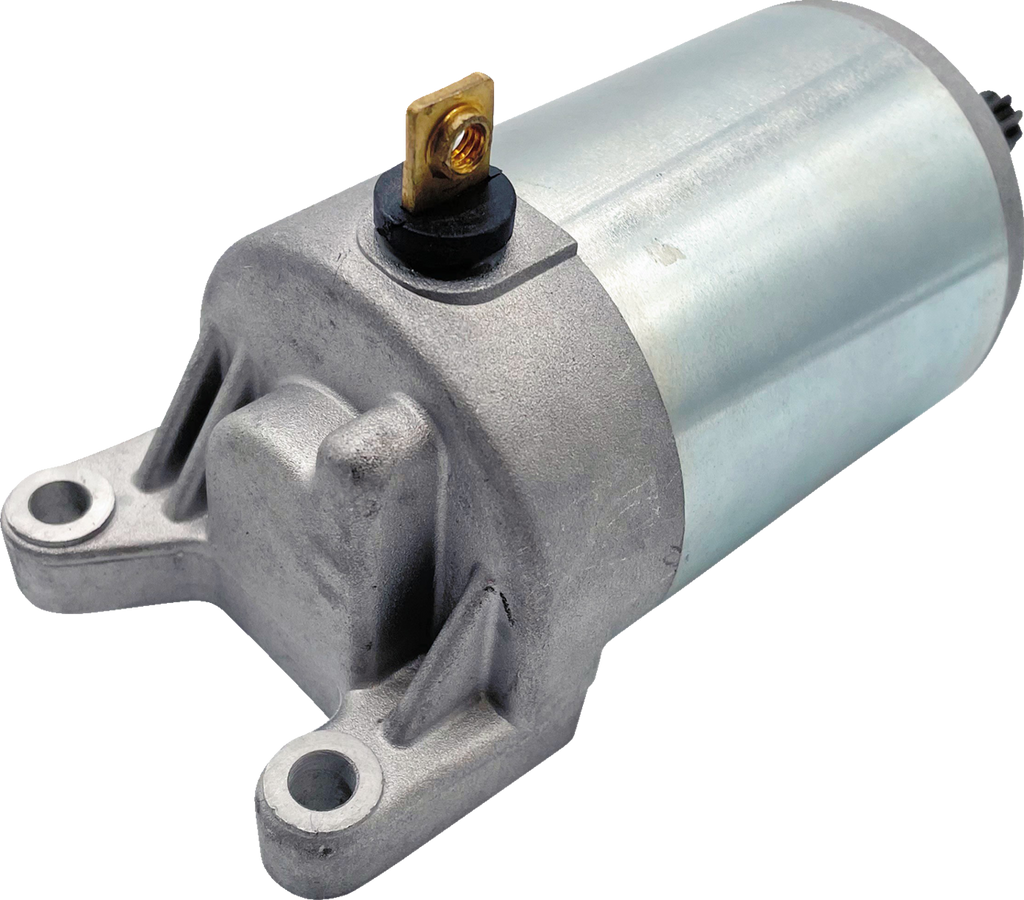 Product image for 21101291