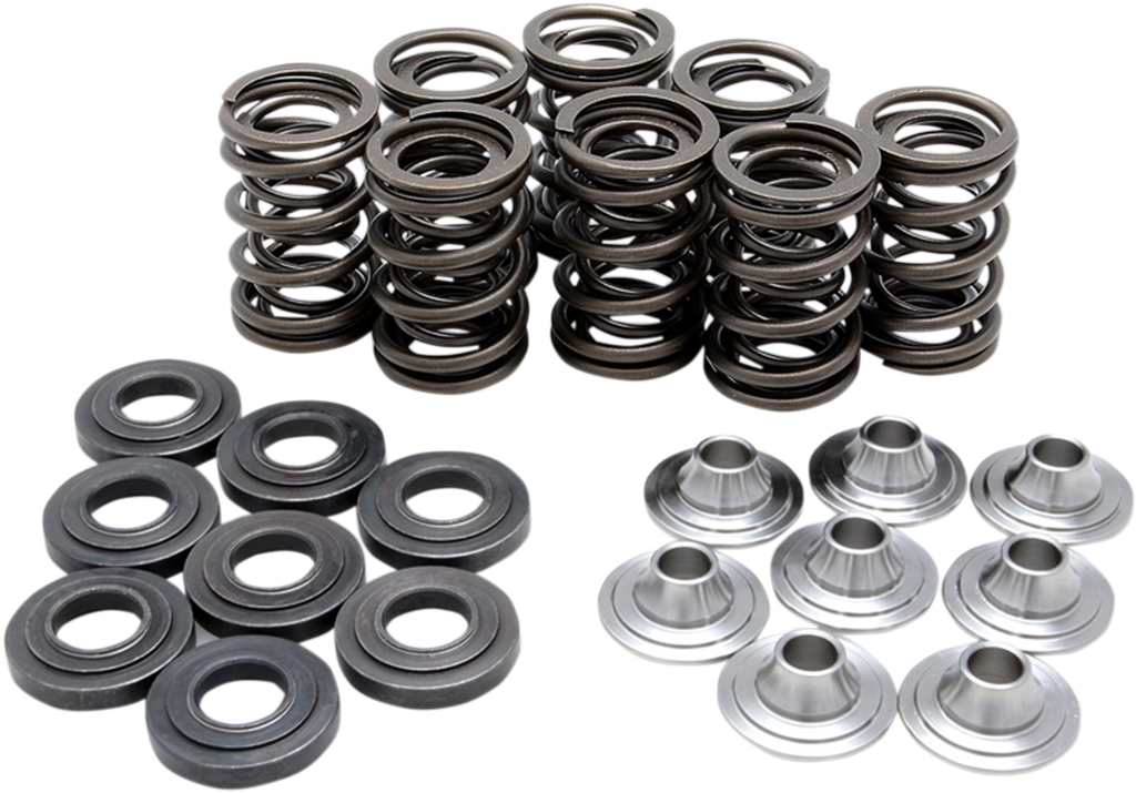 Valve Spring Kit