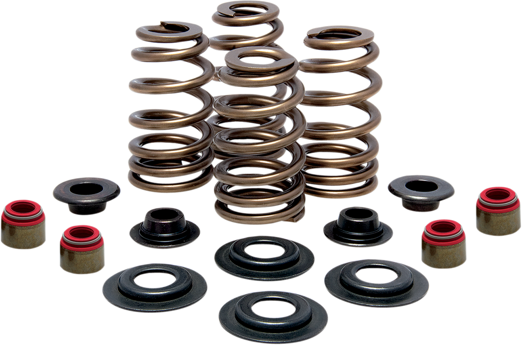 Beehive Springs Kit - 0.425" Lift - Suzuki GSX-R 1000