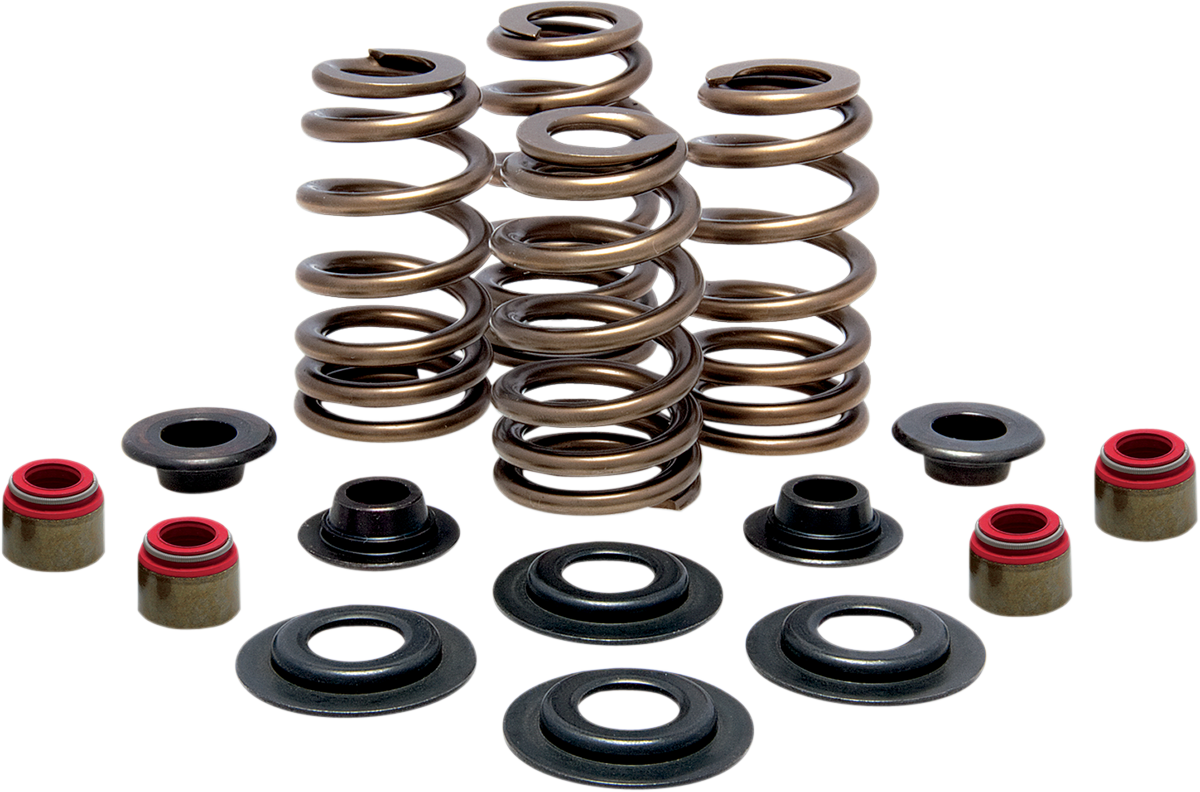 Beehive Springs Kit - 0.425" Lift - Suzuki GSX-R 1000