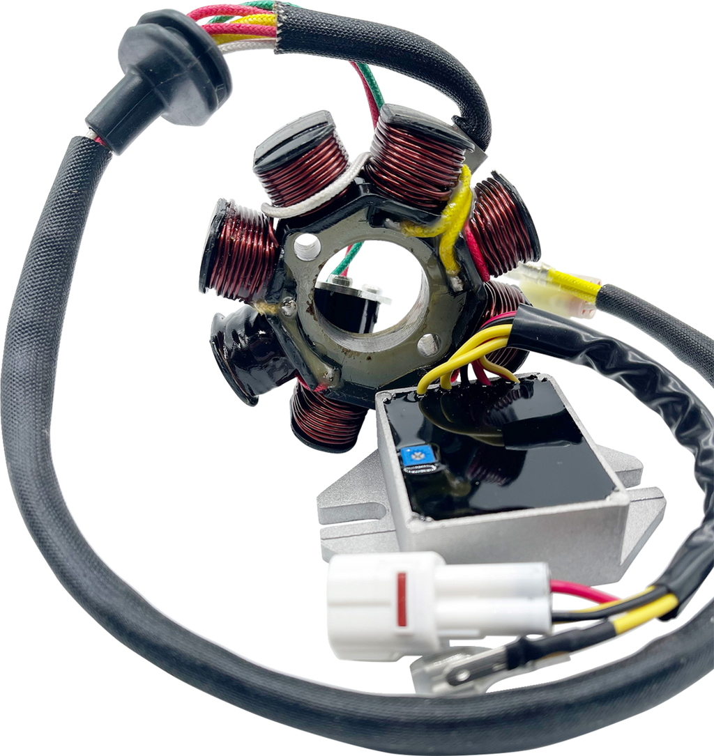 Lithium-Ion Compatible Charging Kit - KTM