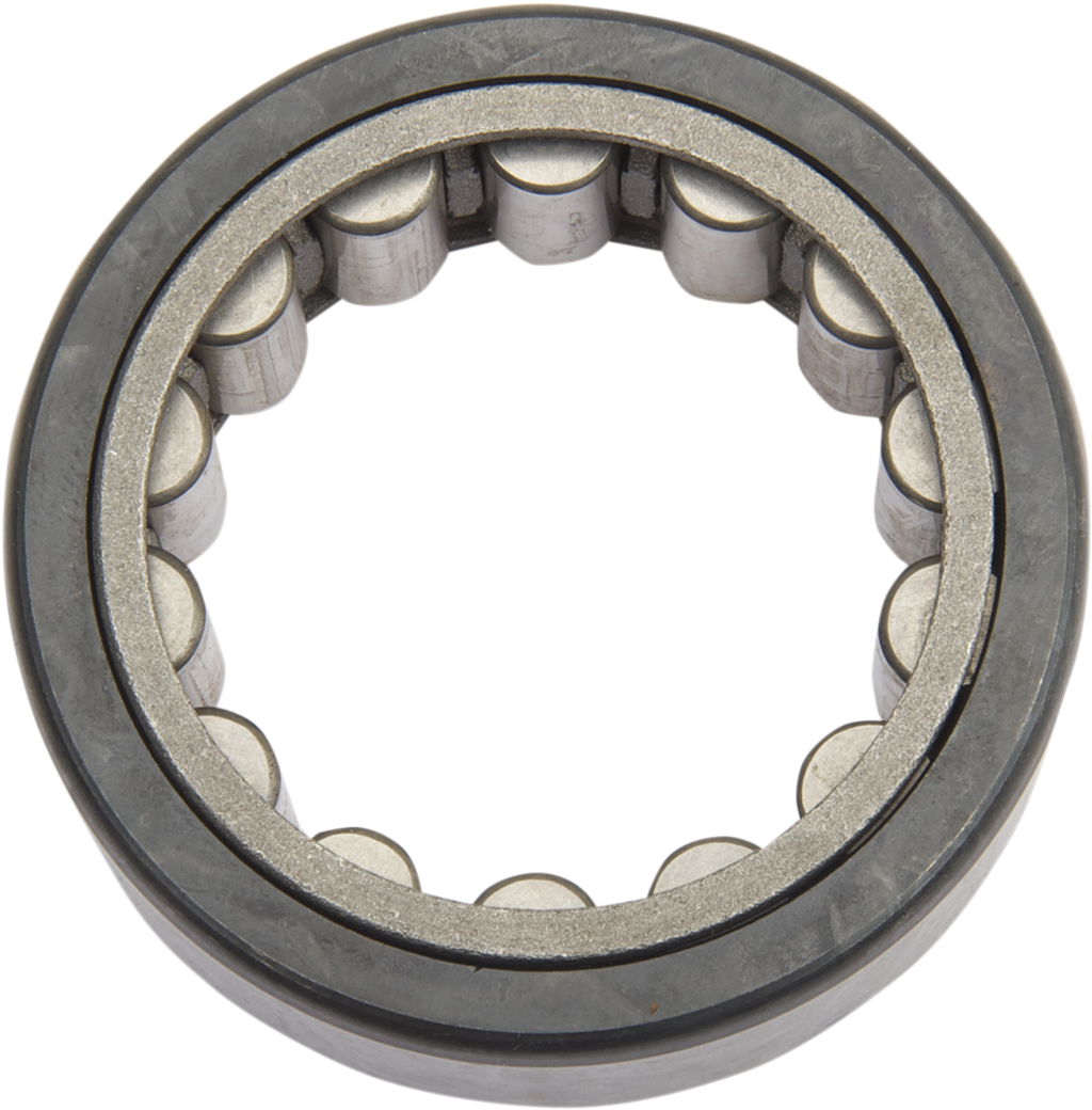 Race Bearing - Replacement - Big Twin