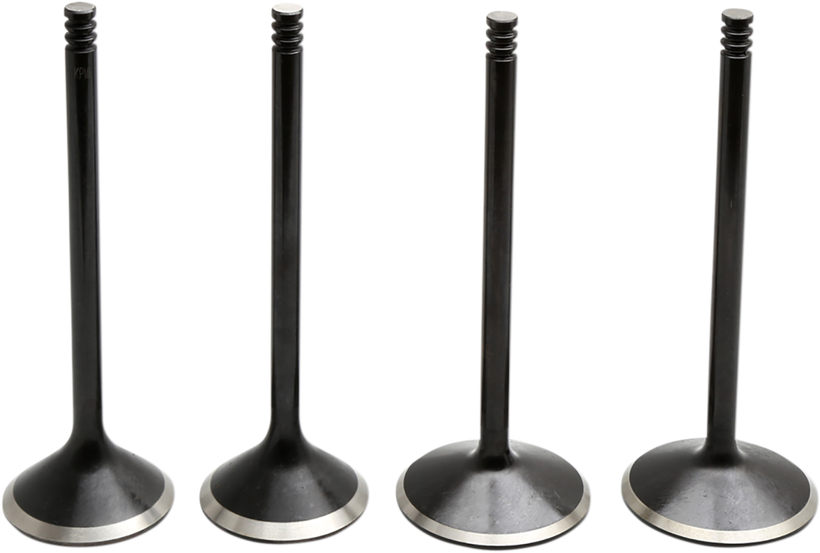 Product image for 09263215