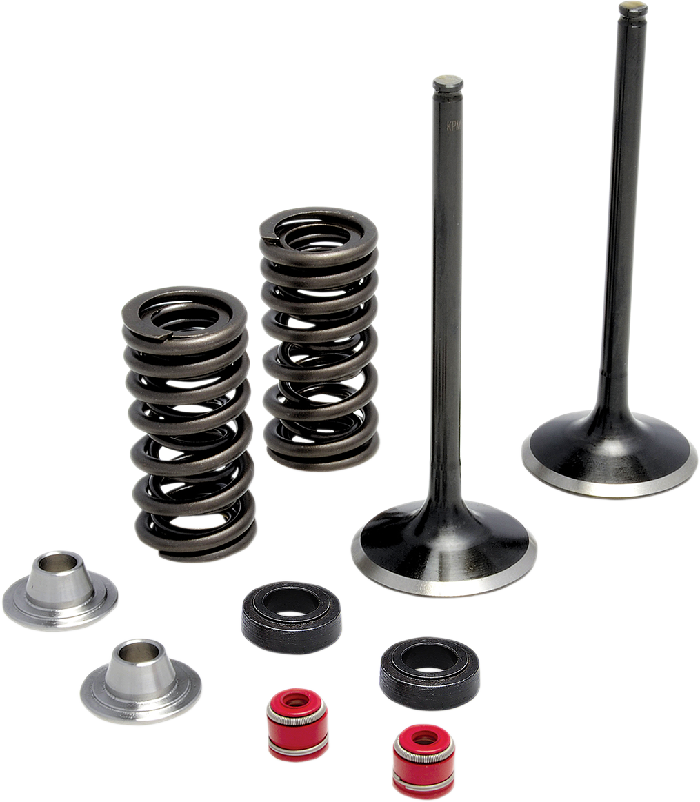 Valve Spring Kit - 0.650" Lift - Buell | Twin Cam | XL
