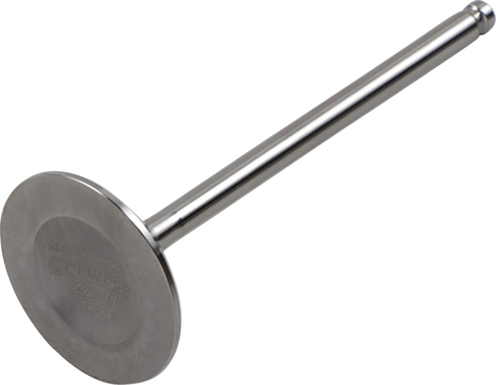 Product image for 09261734