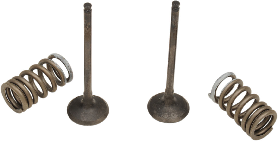 Product image for 09261456