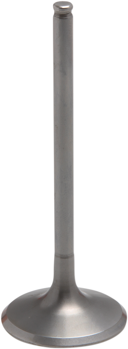 Product image for 09263056
