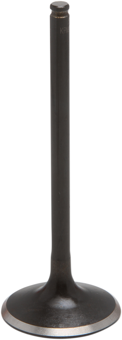 Product image for 09263043
