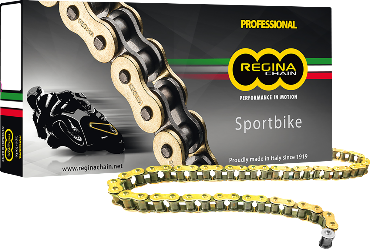 520 ZRP - Drive Chain - 110 Links