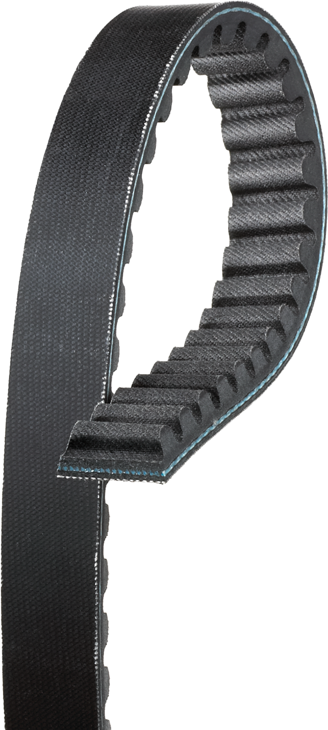 Belt Drive - Premium - 782x16x30