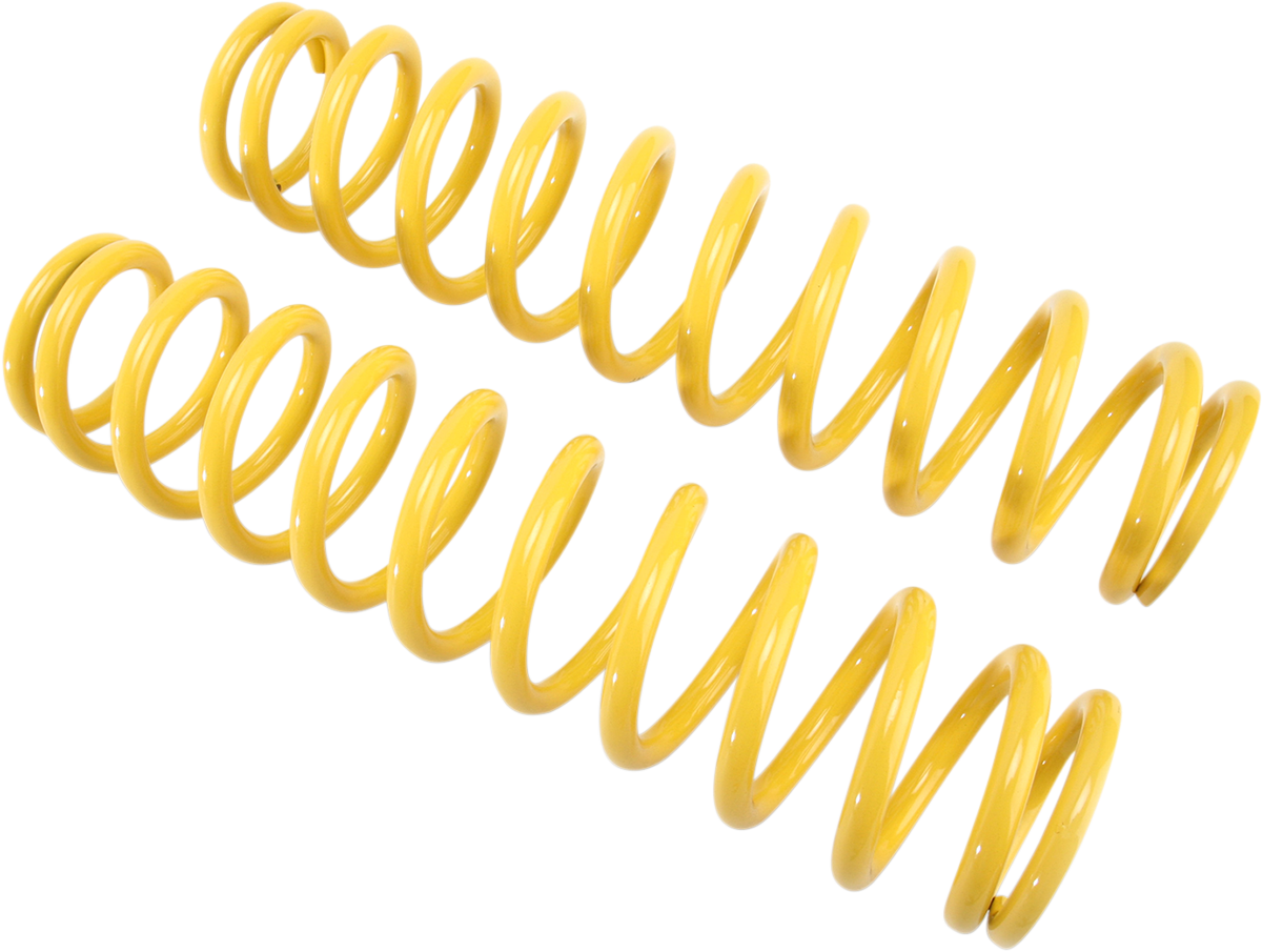 Shock Springs - Rear - Silver