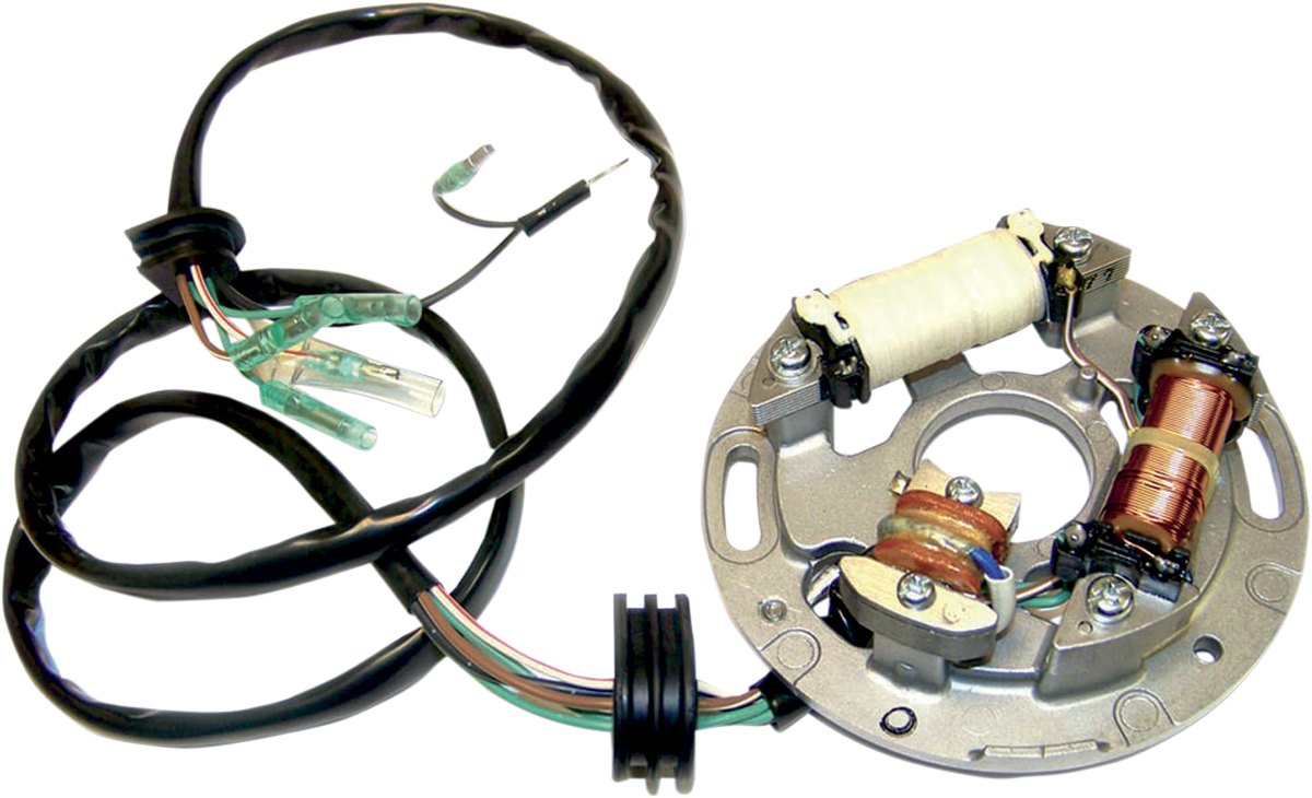 Stator Plate Assembly - Yamaha