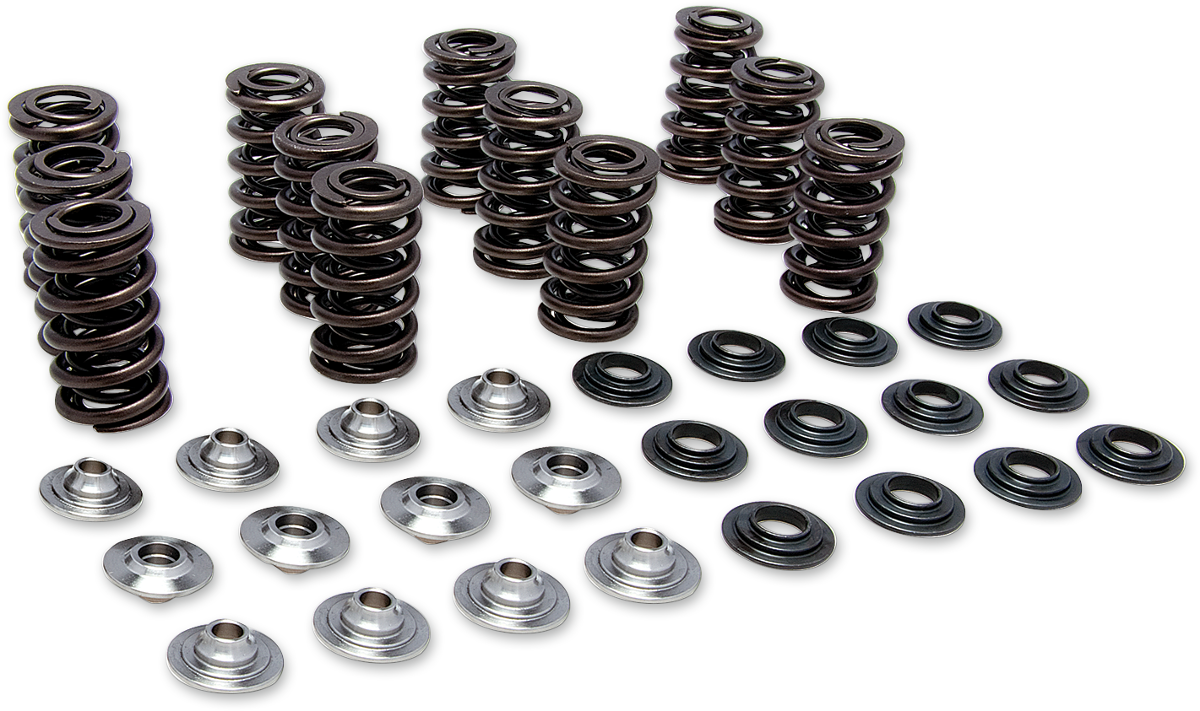Valve Spring Kit - 0.400" Lift - Polaris