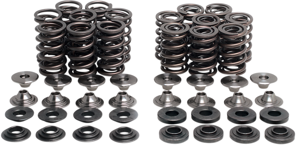 Valve Spring Kit