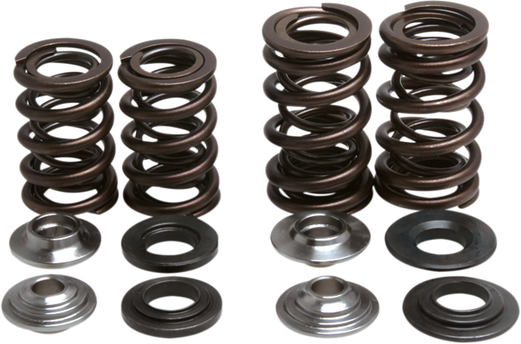 Beehive Spring Kit - 0.435" Lift - Polaris