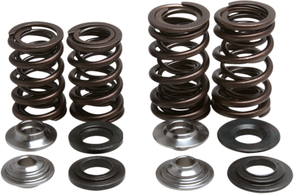 Beehive Spring Kit - 0.435" Lift - Polaris