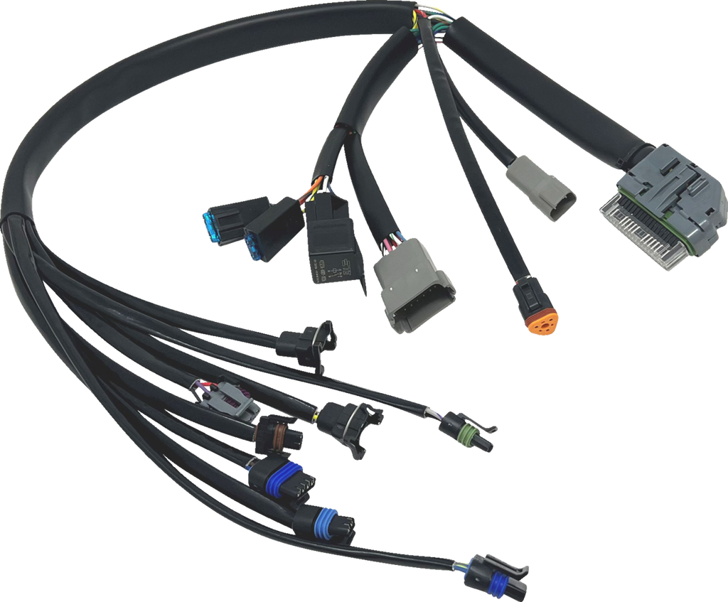 EFI Harness - '04-'05 FLH/FLT
