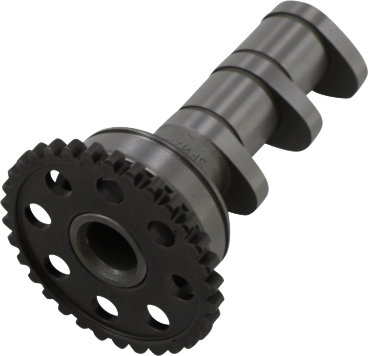 Product image for 09250034
