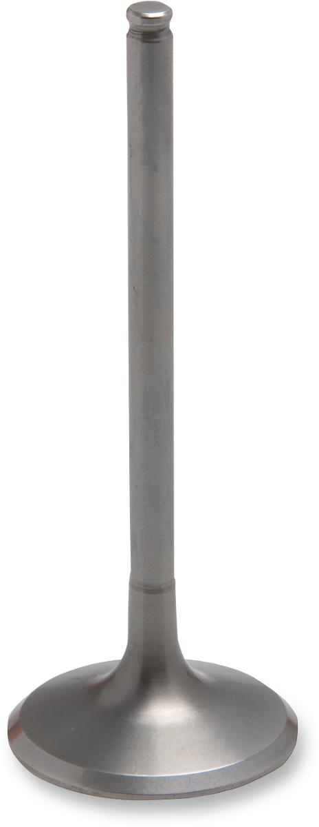 Product image for 09262922