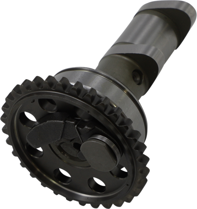 Product image for 09250087