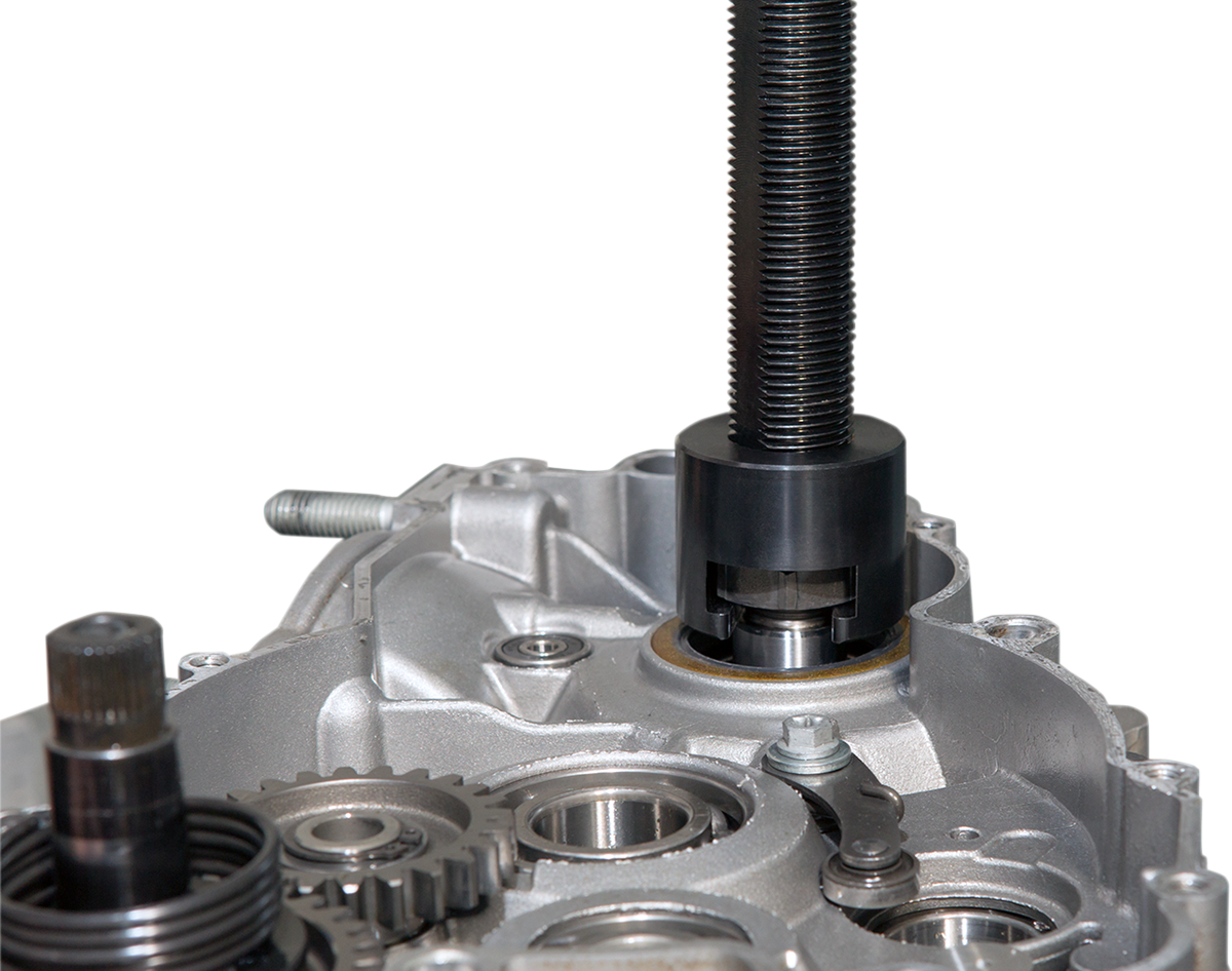 Product image for 38010306
