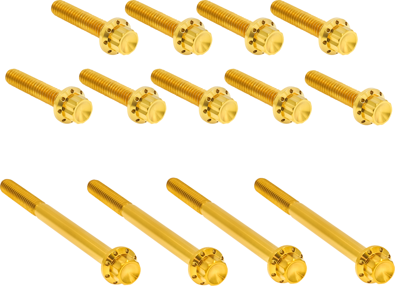 Product image for 24011769