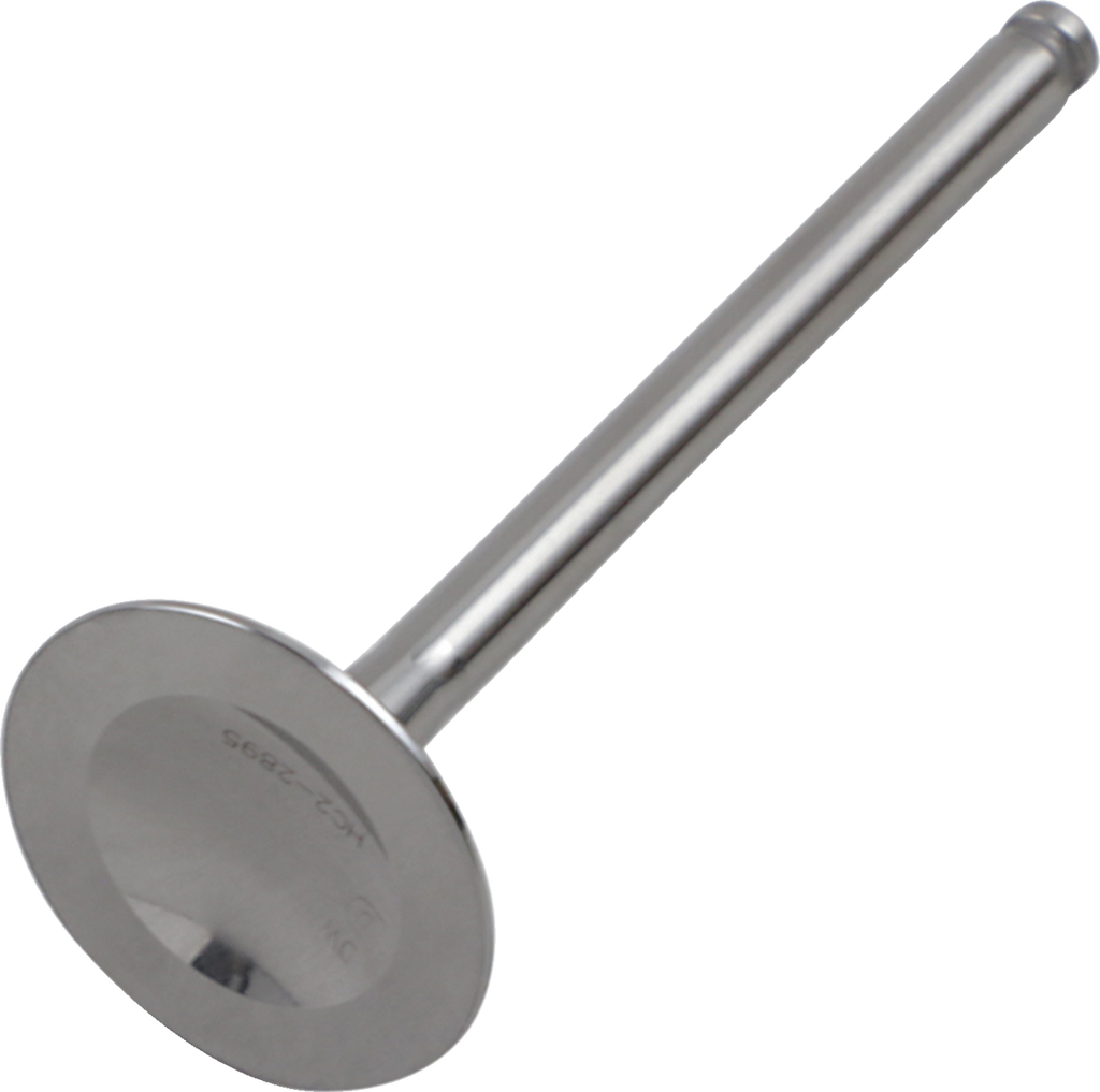 Product image for 09261728
