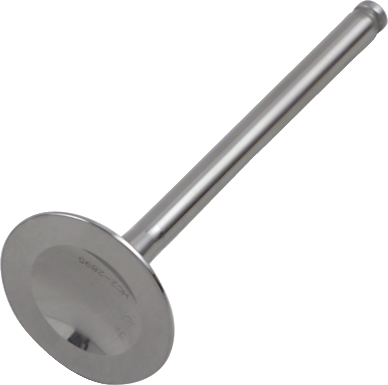 Product image for 09261728