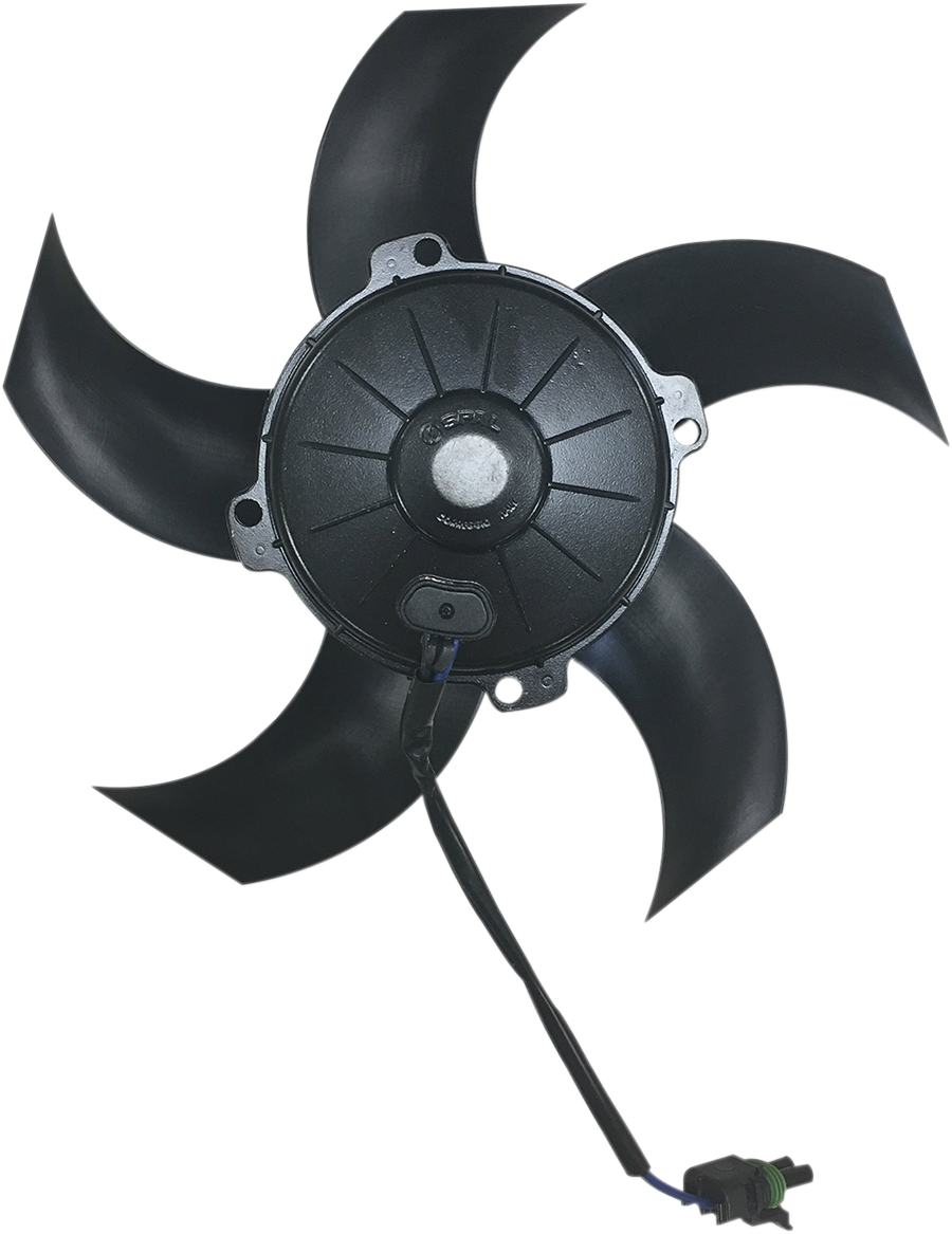 Product image for 19010712