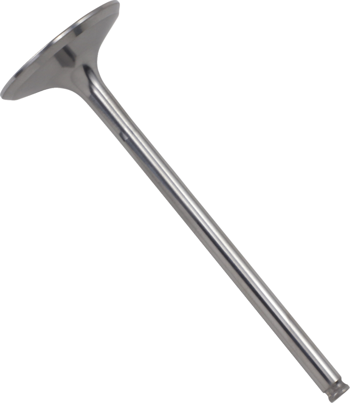 Product image for 09261045